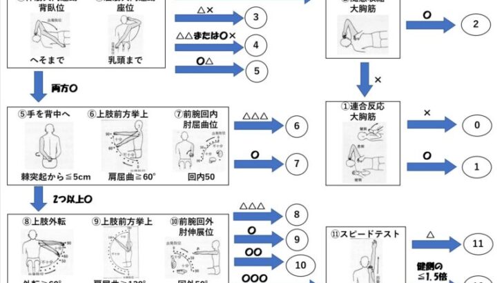 上田式12段階片麻痺機能検査をもっと簡単に！【パッと見でわかるフローチャートつくりました～上肢・下肢編～】